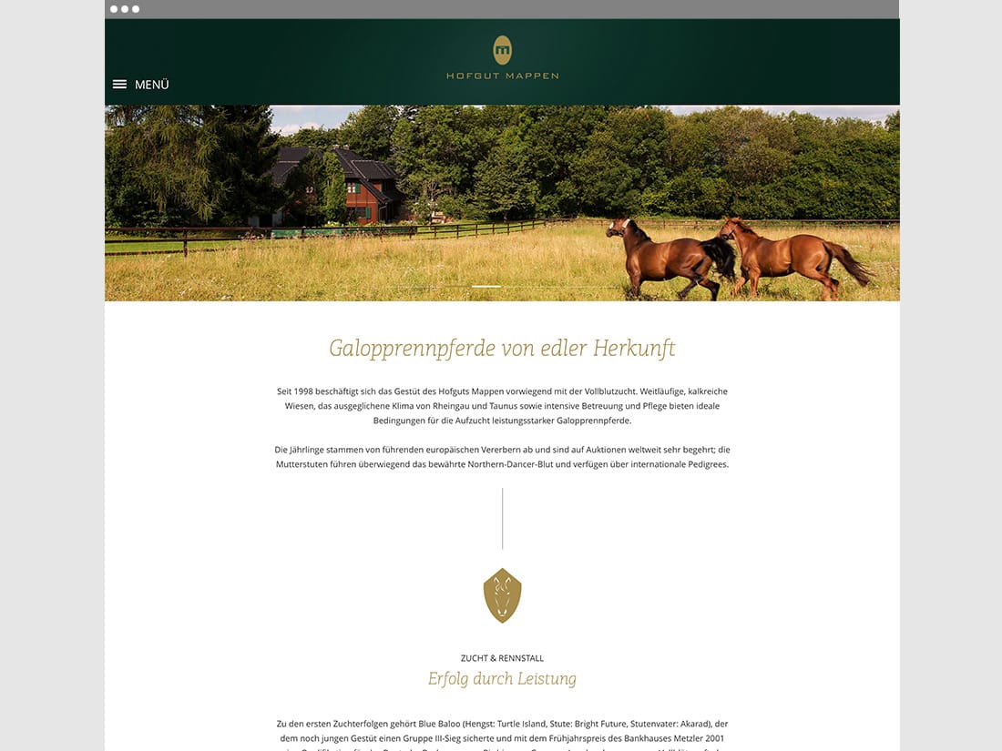 Hofgut Mappen Zucht und Rennstall